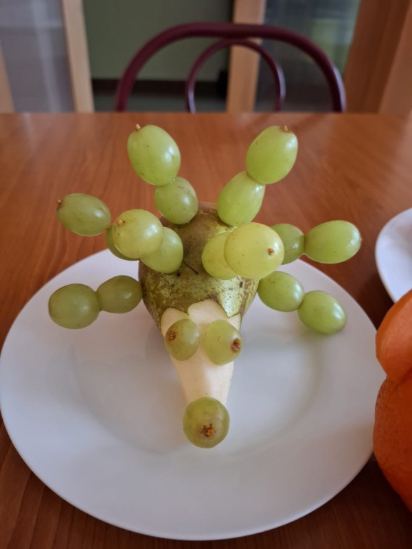 Projekt Ovoce do �kol